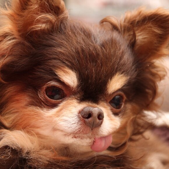 85% of textiles = 92 millions TONS a YEAR = LANDFILL. Let's Change That! - Picture 12 of 12